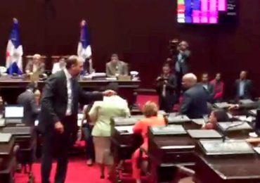 Cámara de diputados es escenario de guerra entre Leonelistas y Danilistas