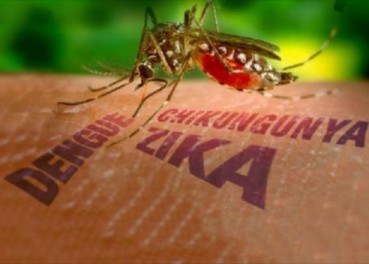 Preocupa alta incidencia zika en Haina casi 200 casos