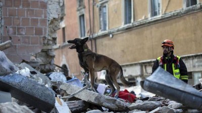 Continúa elevándose la cantidad de muertos por terremoto en Italia