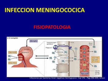 Una mortal enfermedad que daña al cerebro se expande por el sur de California