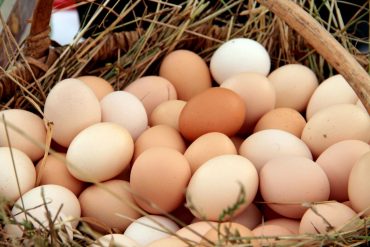 La OMS recomienda el consumo de huevos